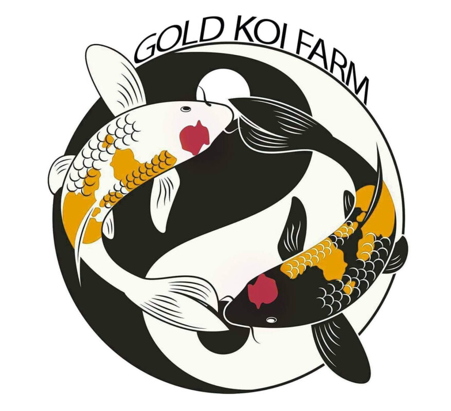 Gold KOI Farm